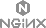 nginx logo